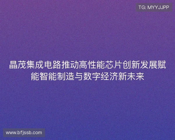 晶茂集成电路推动高性能芯片创新发展赋能智能制造与数字经济新未来